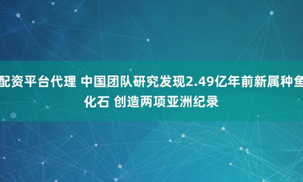 配资平台代理 中国团队研究发现2.49亿年前新属种鱼化石&#32;创造两项亚洲纪录