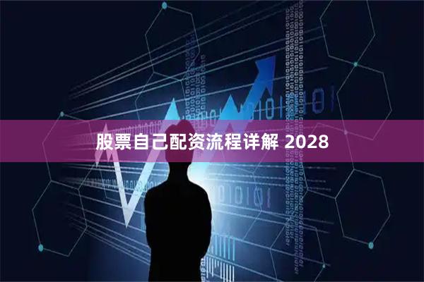 股票自己配资流程详解 2028