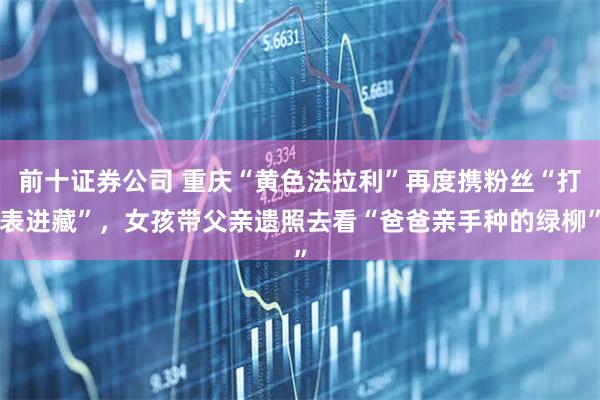 前十证券公司 重庆“黄色法拉利”再度携粉丝“打表进藏”，女孩带父亲遗照去看“爸爸亲手种的绿柳”